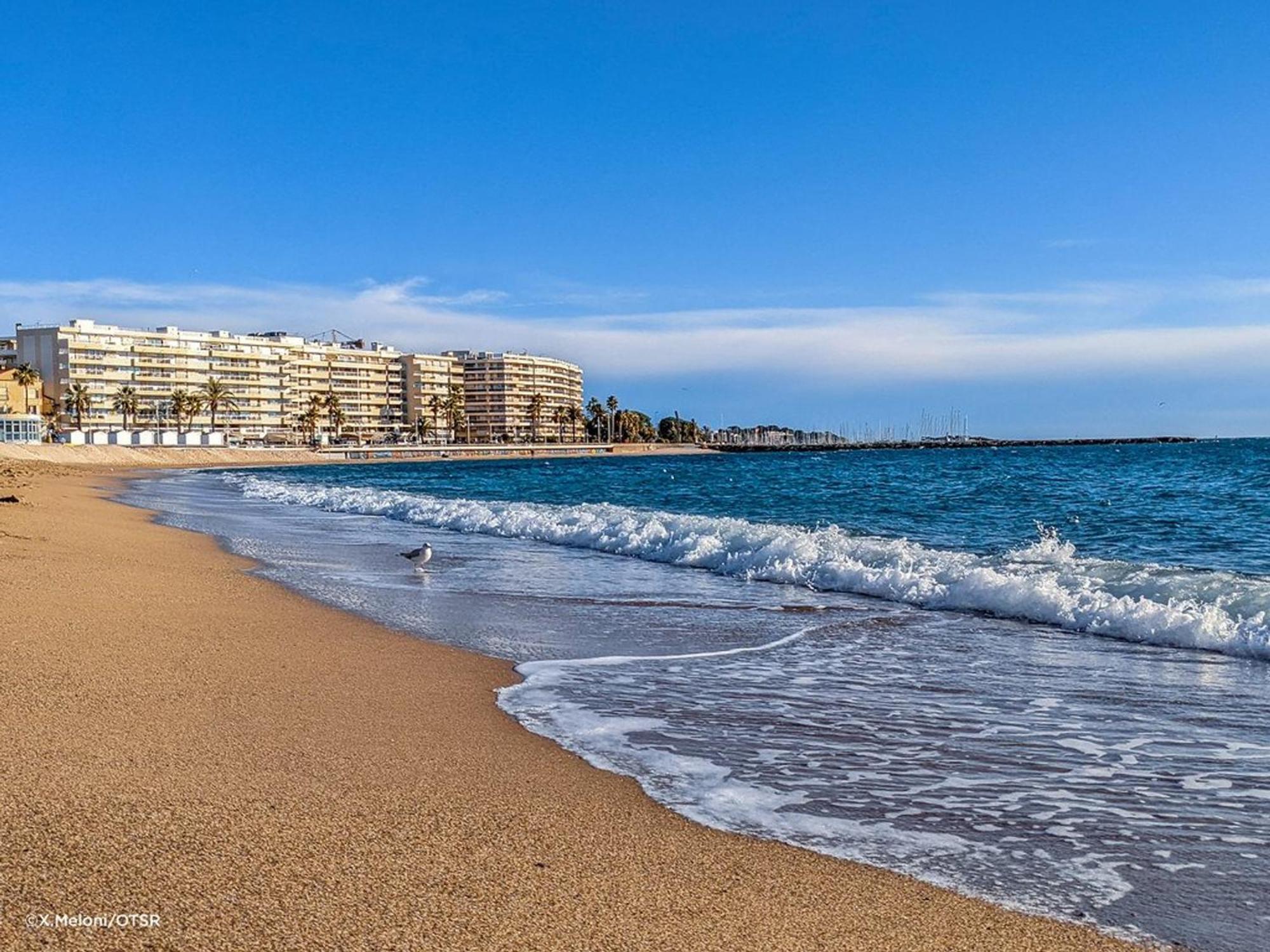 Studio Cabine A St-Raphael Avec Terrasse Et Parking, A 100M De La Plage - Fr-1-226A-23 Saint-Raphaël Dış mekan fotoğraf